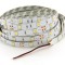 LED pás do interiéru 5050 60 SMD/m