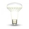 led ziarovka e27 r80 10w