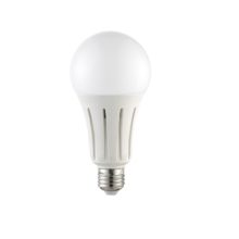 led ziarovka e27 a80 24w