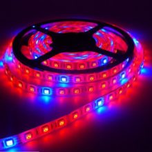 vodeodolny rastovy led pas 5050 60 smd/m 5r1b